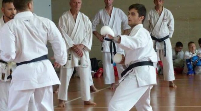 Raduno Karate 25 giugno 2017 - Torbole Casaglia (BS)