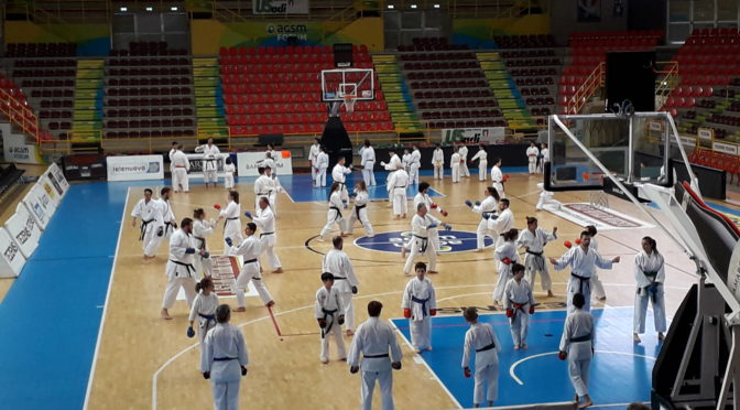 Foto Stage Provinciale di Karate del 30/12/2018