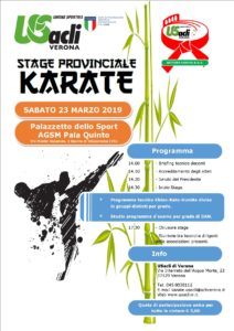 Stage Provinciale di Karate
