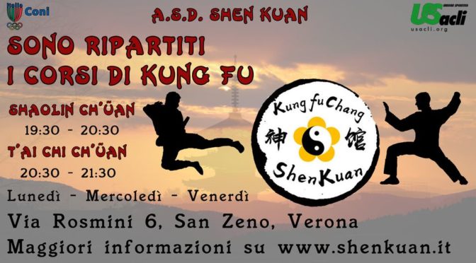Kung Fu con Shen Kuan